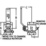 34-IBV1250____2.jpg